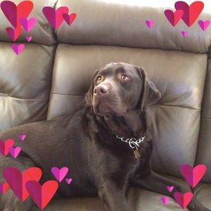 Meet your Posher, Donna